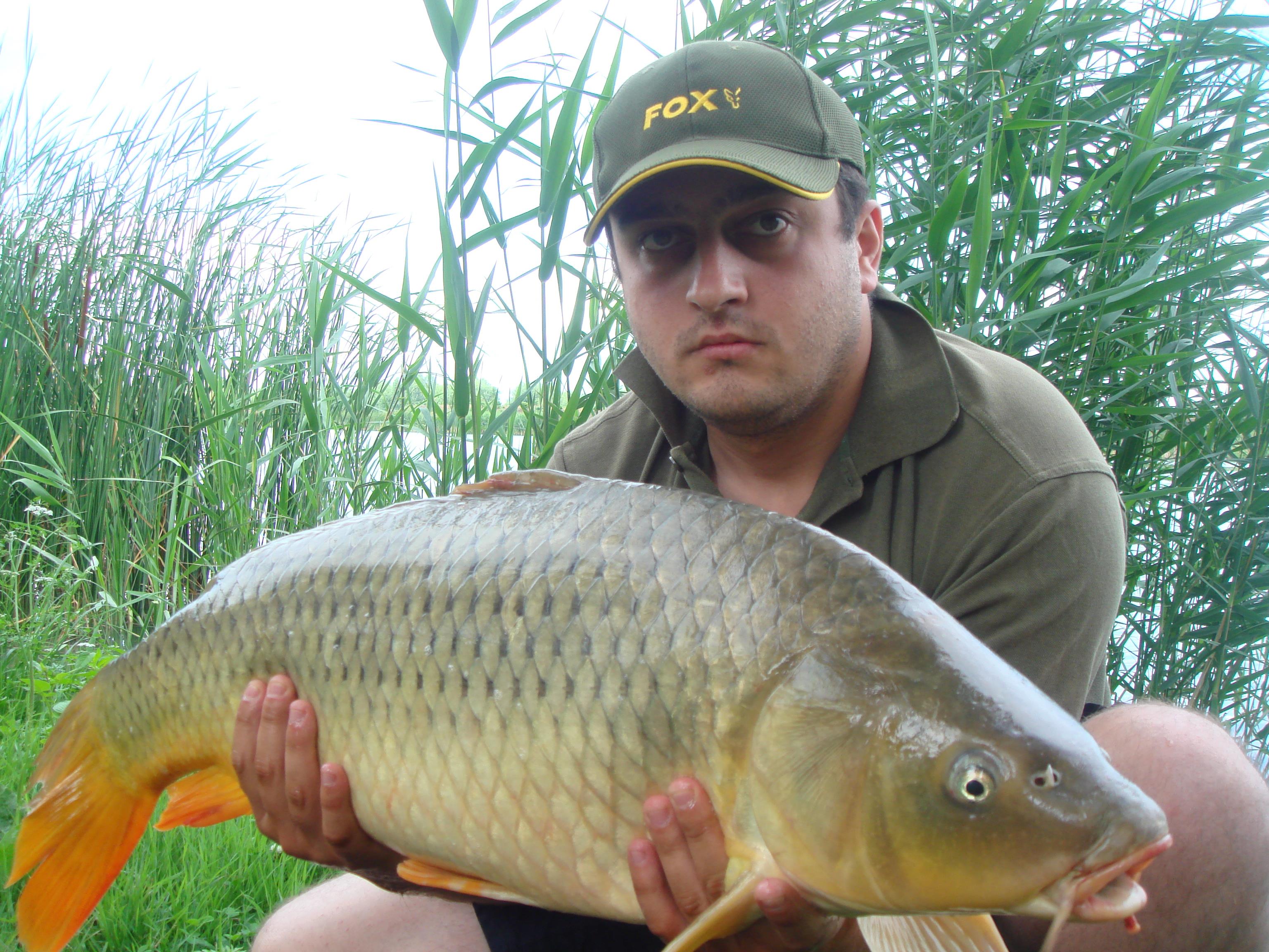 Nagykallo 2011 - DSC08467.JPG